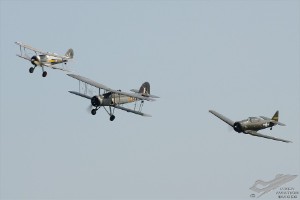 d7t_7275