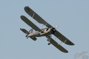 d7t_7290