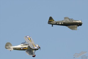 d7t_7311