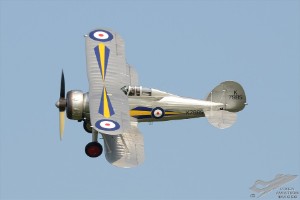 d7t_7326
