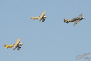 d7t_7332