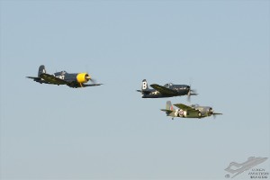 d7t_7336