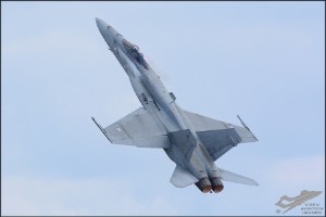 d71_1198a