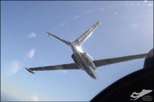 d7t_6308