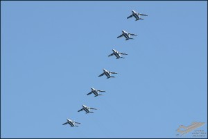 D7T_8980a