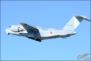 D7T_9021a