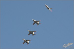 D7T_9196a