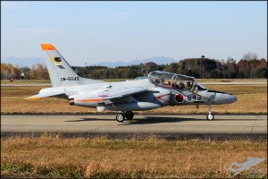 d30_7618a