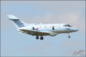 d7t_9942a
