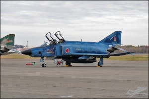 D30_8010a