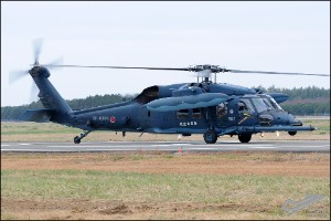 D30_8195a