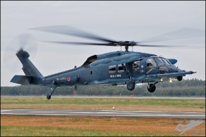 D30_8222a