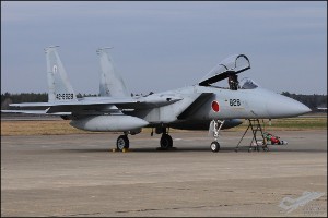 D30_8635a