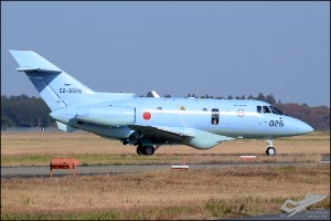 D7T_0619a