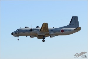 D7T_0394a