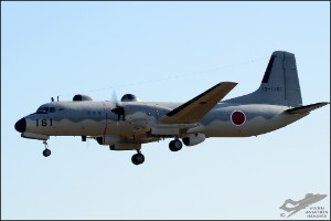 D7T_0398a
