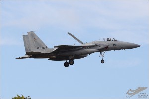 D7T_9241a