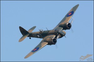 D71_8443a