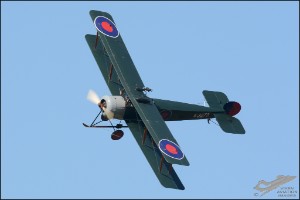 D71_8741a