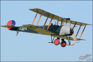 D71_8775a