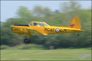 D7T_5602a