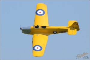 D7T_5610a