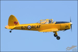 D7T_5636a