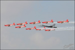 D7T_7858a