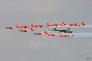 D7T_7859a