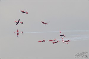 D7T_7876a