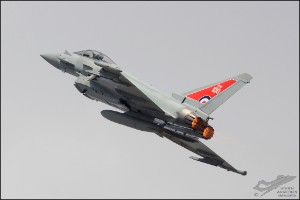 D7T_8148a