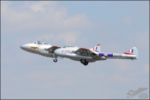 D7T_8155a