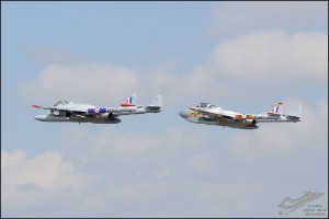 D7T_8159a