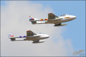 D7T_8168a