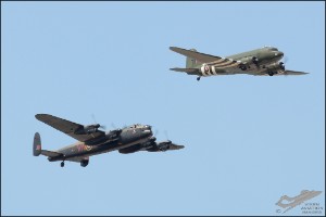 D7T_8215a