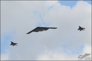 D7T_8258a