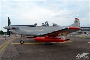 D7T_7991a
