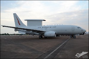 D7T_8041a