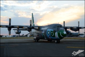 D7T_8050a