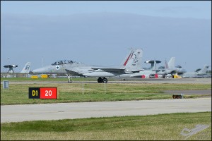 D7T_2994