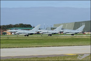 D7T_3034