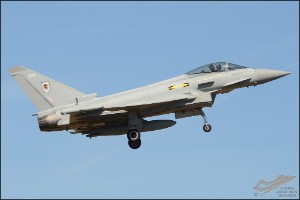 D7T_0871a