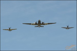 D7T_0948a