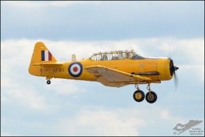 D7T_1224