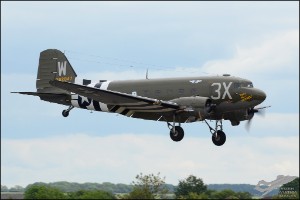 D7T_1341