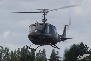 D7T_3098