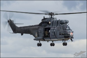D7T_3345
