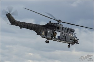 D7T_3349