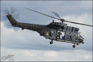 D7T_3351