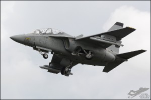 D71_4489